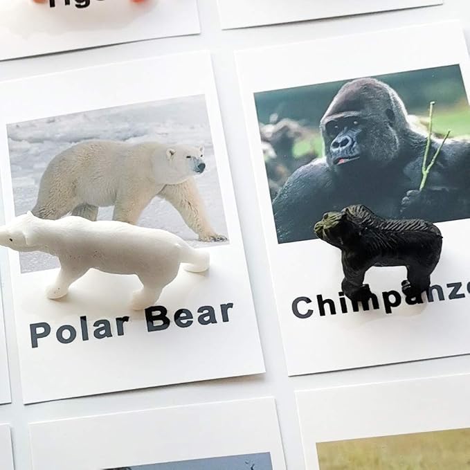 MEROCO Montessori Forest Animal Figurines Matching Cards Kids Preschool - Image 5