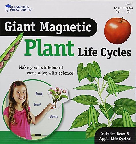 Learning Resources Giant Magnetic Plant Life Cycle - STEM Growing Seed, Montessori Tree , Biology Cards, Classroom Teacher Must Haves Activities, Science Homeschool Essentials, Gifts for Students by LearningResources