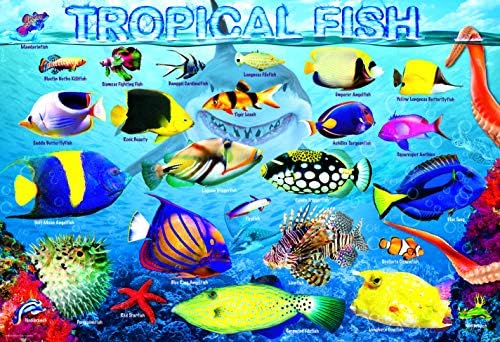 EuroGraphics Tropical Fish 100Piece Puzzle, Multi-Colored - Image 2