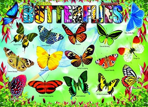 Garden Butterflies - Image 2