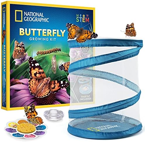 National Geographic Butterfly Growing Kit for Kids Nature Activity by BlueMarbleToys