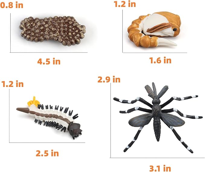 Montessori Life Cycle Animal Figures with Flash Cards, Realistic Animal Figurines Toy, Educational Matching Game for 3+ Year Old Kids (Mosquito) - Image 3