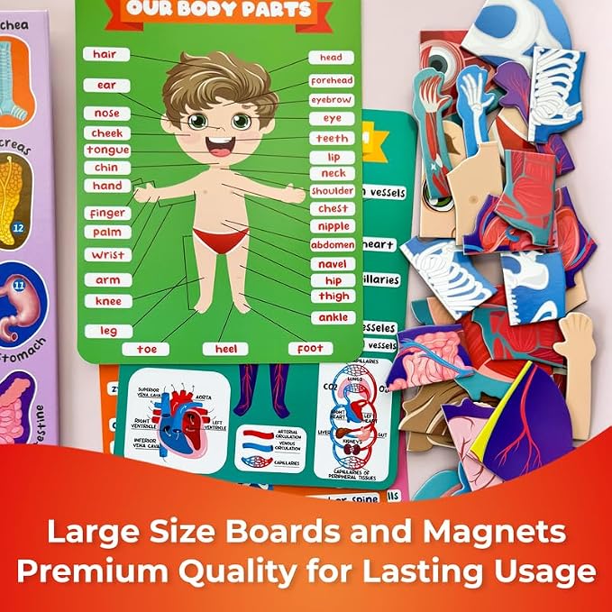 Montessori Puzzles for Toddlers 3-5 - Educational Puzzles for Kids - Image 6