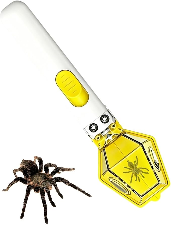 Outdoor Toys for Kids Ergonomic Educational 6X Magnifier - Image 9