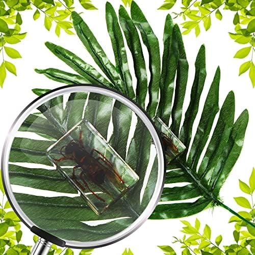12 Pcs Insect Specimens for Kids Bug Collection Kit, Insect - Image 5
