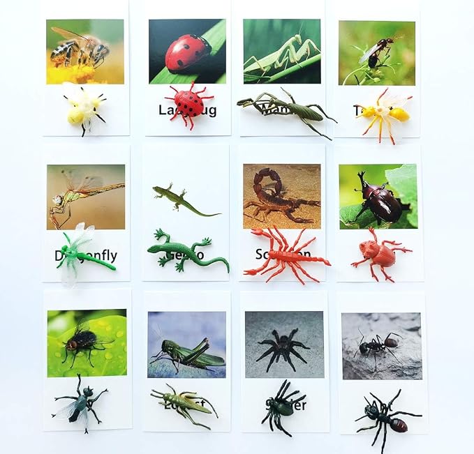 MEROCO Montessori Materials Insects Bugs Matching Game Kids Preschool 3-6 - Image 2