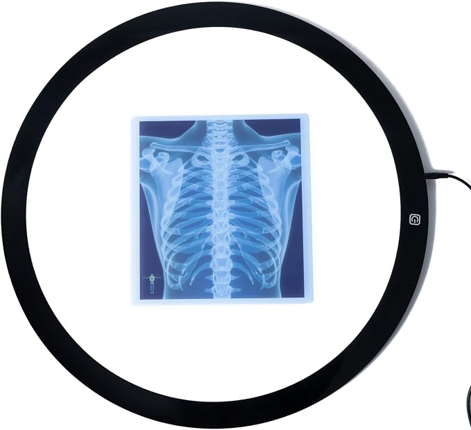 21 Pieces X-Ray Sets of Human Skeleton - Bright LED Light Box - Human Nerves, Human Blood Vessels and Human Lymphatic - Xray for Light Table - Image 5