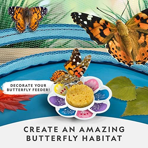 National Geographic Butterfly Growing Kit for Kids Nature Activity - Image 2