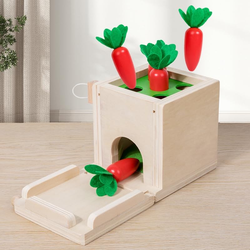 Practical Life Skill Pincer Grasp 5-in-1 Toy Object Permanence STEM Educational Toy Posting Coin Piggy Bank Carrot Harvest Push- Matching/Geometric Solid Box Toddler Gift 3-6 Years - Image 6