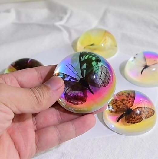 Real Butterfly Specimen in Resin,Insect Specimens for Education - Image 4