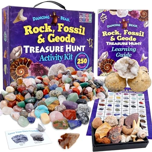 DANCING BEAR Rock, Mineral & Geodes Treasure Hunt Activity Kit (250 Pc Set) Real Shark Teeth Fossils, ID Sheet & Rock Book, STEM by DancingBear