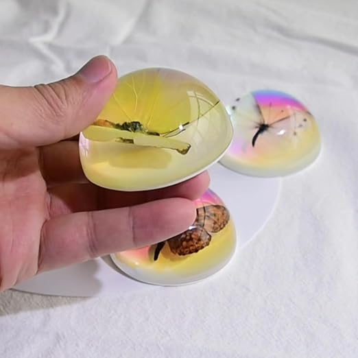 Real Butterfly Specimen in Resin,Insect Specimens for Education - Image 5