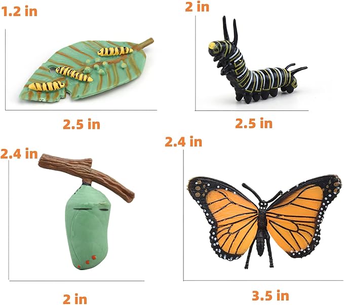 Montessori Life Cycle Learning & Education Toys, Plastic Insect Ladybug Monarch Butterfly Tadpole to Frog Kit, Preschool Learning Activities - Image 7