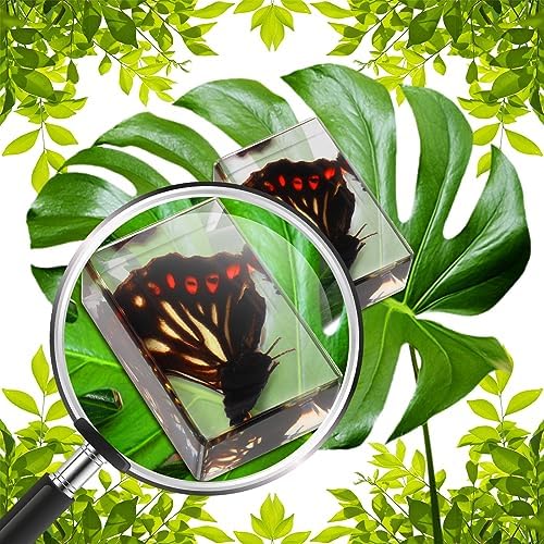 12 Pcs Insect Specimens for Kids Bug Collection Kit, Glowworm - Image 4