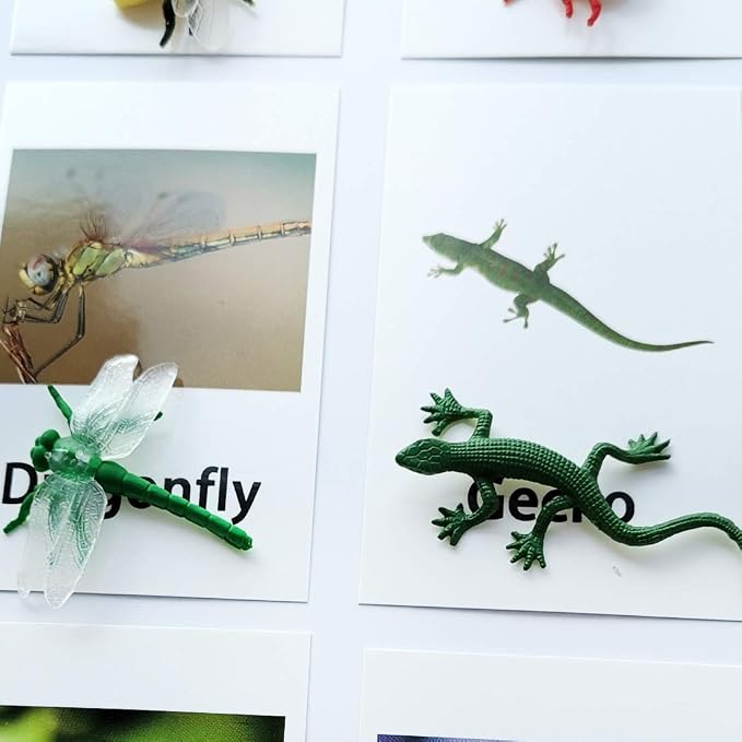 MEROCO Montessori Materials Insects Bugs Matching Game Kids Preschool 3-6 - Image 5