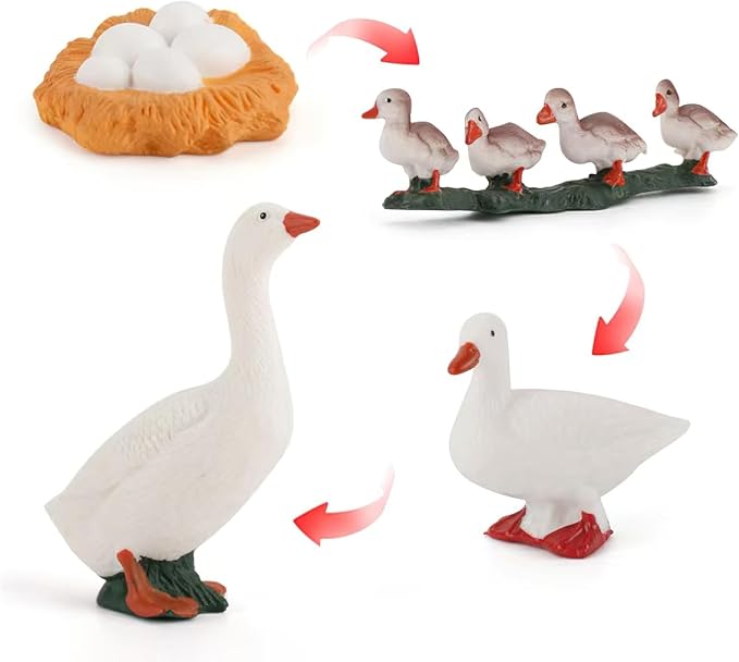 Montessori Life Cycle Animal Figurines Learning & Education Toys, Plastic Insect Life Cycle Toys, Preschool Learning Activities (Hen Goose Duck) - Image 3