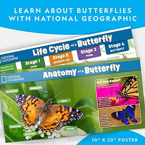 National Geographic Butterfly Growing Kit for Kids Nature Activity - Image 5