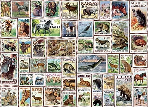 Animals of North America - Vintage Stamps - Image 2