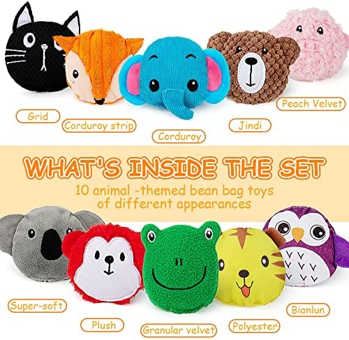 teytoy Sensory Bean Bag for Kids 10 Pack,Texture Sensory Beanbags,Sensory Toys for Autism,Animal Sensory Fine Motor Toys with Storage Bag for Boys and Girls - Image 3