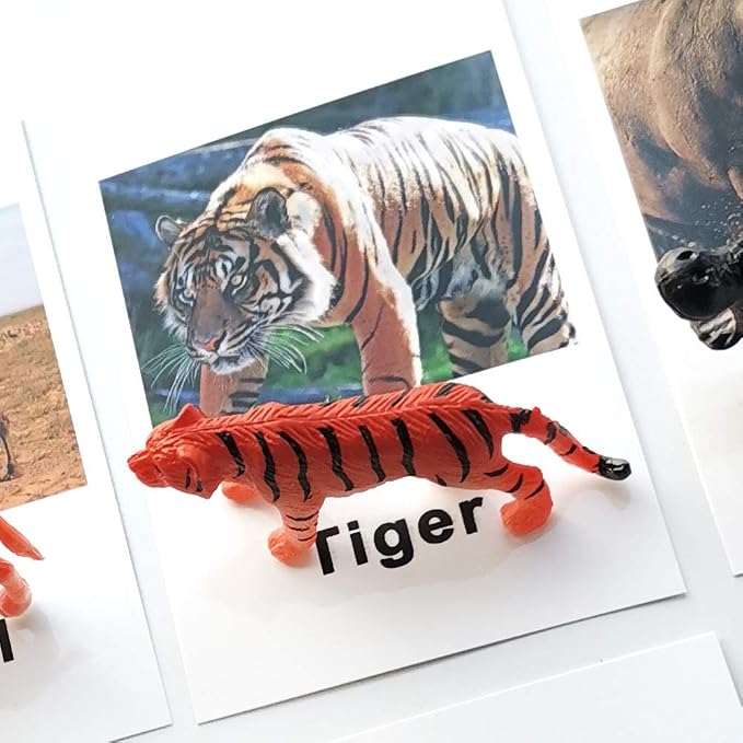 MEROCO Montessori Forest Animal Figurines Matching Cards Kids Preschool - Image 4