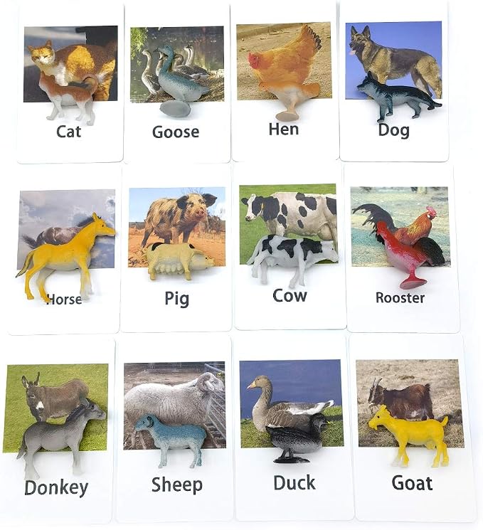 MEROCO Non Identical Matching Cards Poultry Animals Kids Preschool - Image 3