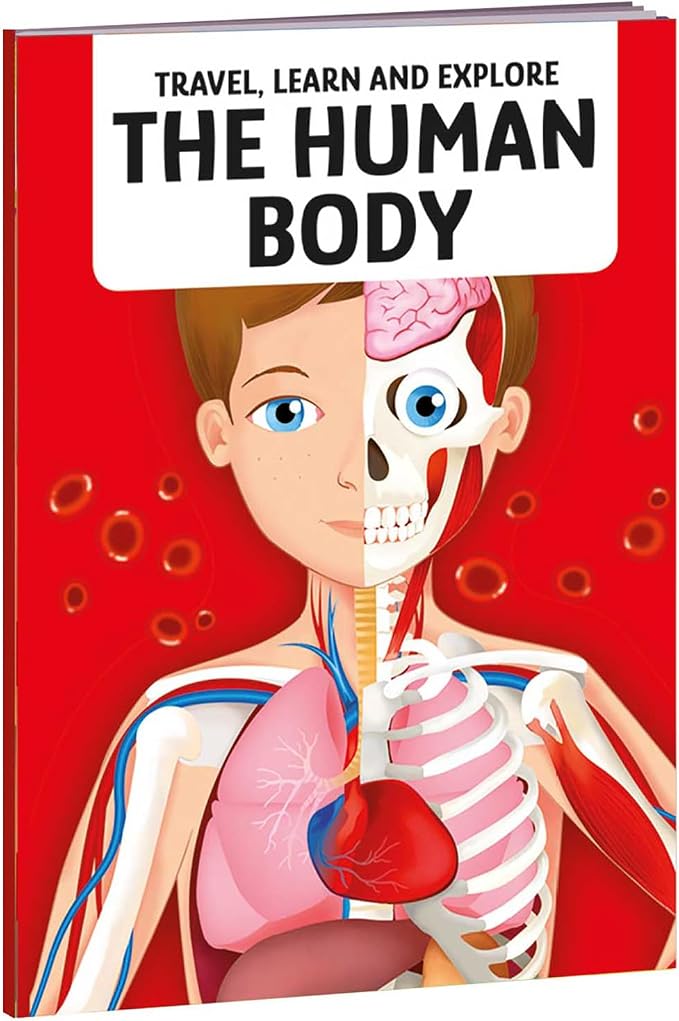 Sassi: Travel, Learn & Explore - The Human Body - 200pc Shaped Puzzle & 32-Page Book, Educational Set, Facts About Bodily Systems, (N.E. 2024) Kids 6+ - Image 3