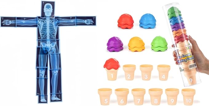 Ice Cream Counting Toy & Human Body X-Ray Set – Number Matching Cones and Anatomy Learning Cards for Kids STEM Education and Classroom Activities by Odoorgames