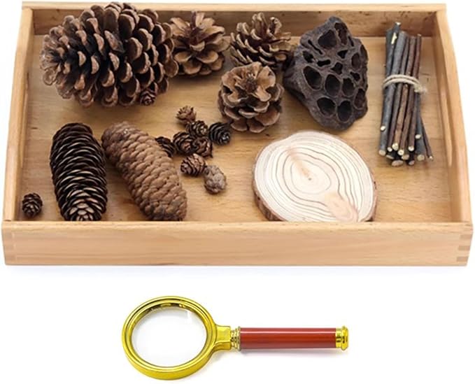 Montessori Nature Exploration Kit, Kids Outdoor Sensory Science Toy by Unknown