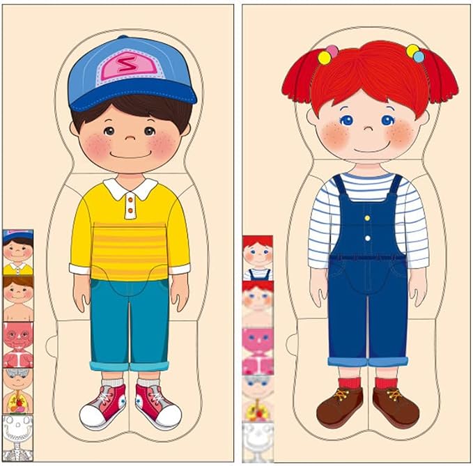 Childrens Human Body Puzzle Thickened Body Organ Learning Game, Sturdy Educational Toy for Boys Girls, 15 * 2 * 30cm Size (#1) - Image 4