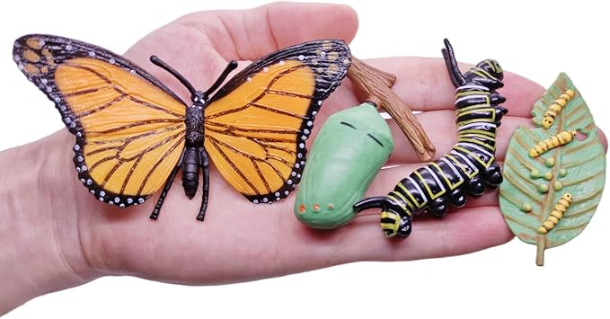 Montessori Animal Life Cycle Figurines, Plastic Miniature Educational Toys, 6 Count, Ages 3+