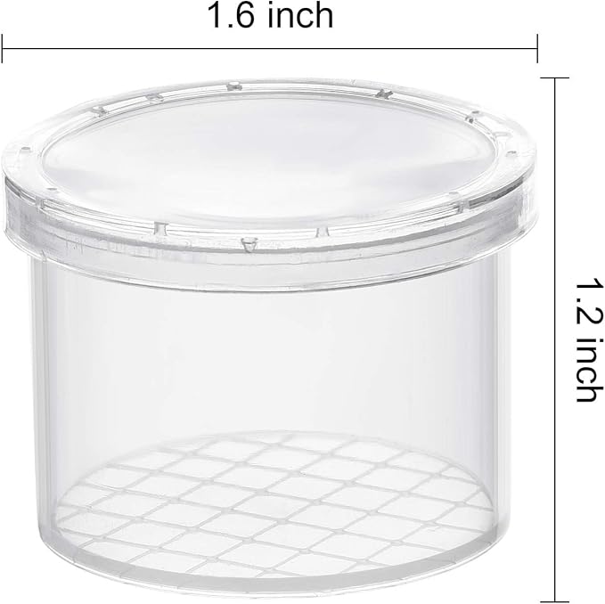 Coopay 20 Pcs Bug Jars Critter Insect Cage Magnifying Insect Box Bug Magnifier Container Catcher Cage, Science Nature Exploration Tools - Image 2