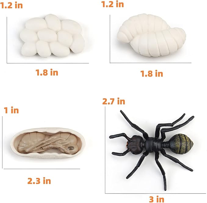 Montessori Life Cycle Animal Figures with Flash Cards, Realistic Animal Figurines Toy, Educational Matching Game for 3+ Year Old Kids (Ant) - Image 3