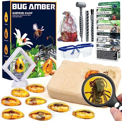 Woumserta Amber Dig Kits, Bugs Toys for Kids 5-7, 8 Insects Specimens Gifts by Woumserta