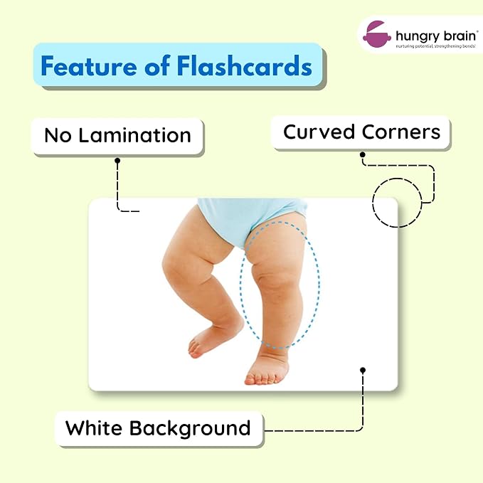 Hungry Brain Body Parts Flash Cards for Toddlers Ages 3 Months to 6 Years | Montessori Human Body Vocabulary Cards for Kids | Educational Learning Cards for Preschool, Kindergarten, Memory - Image 5