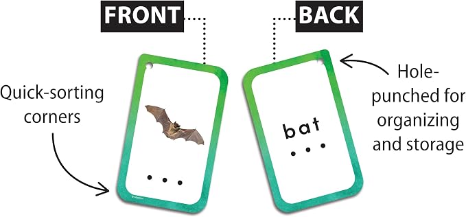 Decoding CVC Words Flash Cards (EP62057) - Image 2