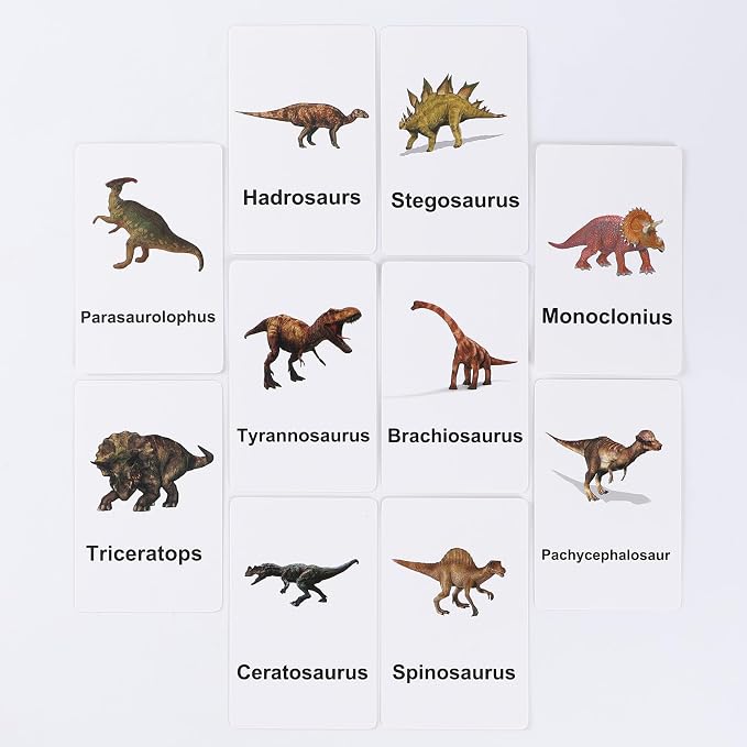 MEROCO Montessori Dinosaur Flash Cards Matching Game Kids Preschool - Image 3
