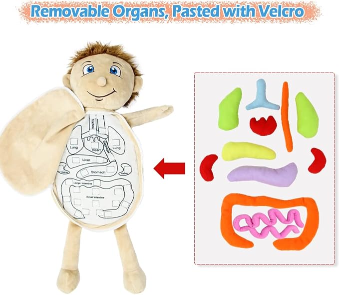 KAKIBLIN Human Body Plush Toy with Removable Organs for Toddlers Learning - Image 3