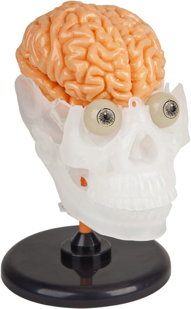 SMARTLAB Toys Totally Squishy from Head-to-Toe - 60 Pieces - 36 Removable Parts - 12" Human Body Model & Stand - 24-Page Illustrated Book - Includes Glowing Eyeballs! - Image 8