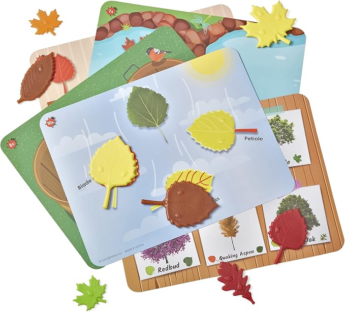 hand2mind Sensory Leaves Math Activity Set, Pattern Play, Shape Puzzle, Pattern Blocks Cards, Math Counters, Sorting Toy, Shapes for Toddlers, Counting Toy, Kindergarten Learning Activities - Image 4