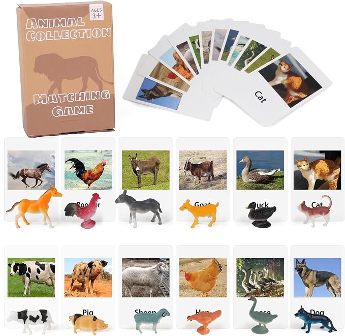 MEROCO Non Identical Matching Cards Poultry Animals Kids Preschool by MEROCO