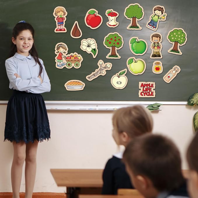 19 Pcs Apple Life Cycle Felt Board Story Sets Apple Life Cycle Felt Board Pieces for Preschool Classroom Kindergarten Teaching Kits - Image 4