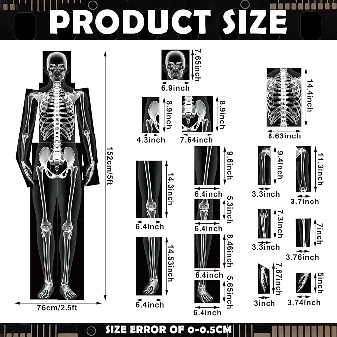Novabright 31 Pcs Broken Human Bones x Ray Set for Kids Human X-Rays Skeleton Pretend Skeleton Pretend for Kids Body Display Play Table Educational Science Kits Black and White - Image 3