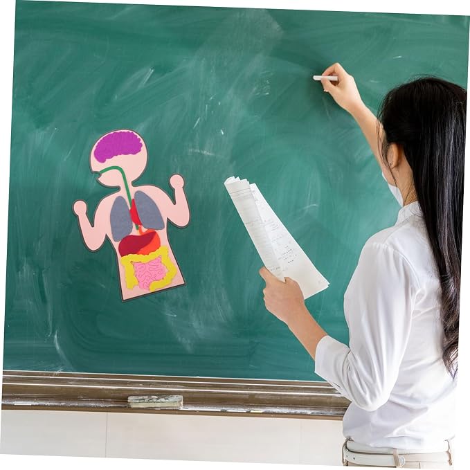Healifty DIY Organs Craft Kit Human Body Model for Kids Cognitive Organs Toy Creative Organs Plaything Educational Teaching Aids for Learning Internal Body Organs 3 Sets - Image 8
