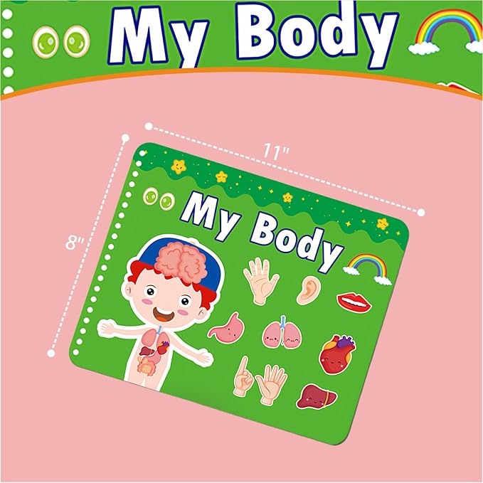 Human Body Anatomy Educational Workbook – Early Learning Materials, 1 Pcs (Green) - Image 2