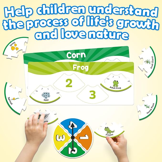Edulok Life Cycle Toys for Kids, Toddler Puzzles, Preschool Science Kits for Kids 3-5, Kindergarten Learning Activities, Learning Education Toys, PreK Classroom Essentials, Homeschool Supplies - Image 4