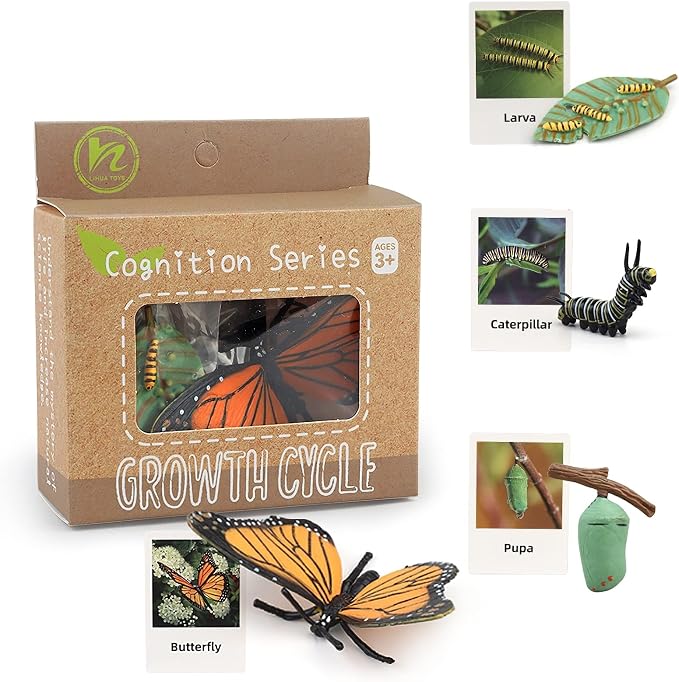 Montessori Life Cycle Animal Figures with Flash Cards, Plastic Insects Monarch Butterfly Kit Caterpillar Toy for Kids, Realistic Animal Figurines (Butterfly) - Image 5