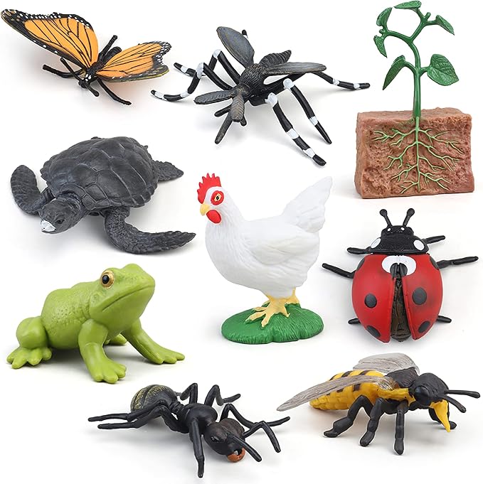 Montessori Frog Life Cycle with Flash Cards, Plastic Insects Tadpole to Frog Kit Toy, Realistic Animal Figurines - Image 7