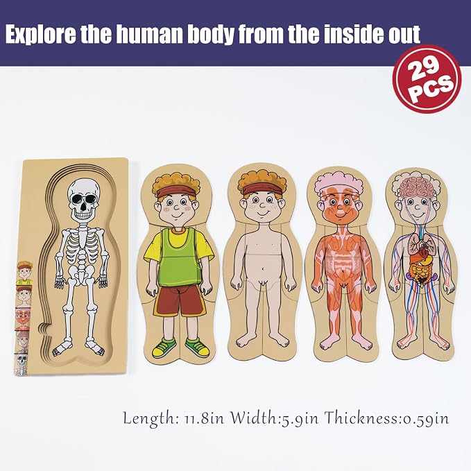 My Body Parts Puzzle for Toddlers Kids Girls Boys Montessori Wooden Anatomy Puzzle 3-5 Years Old Preschool Learning Game Human Body Cognitive Toys - Image 6