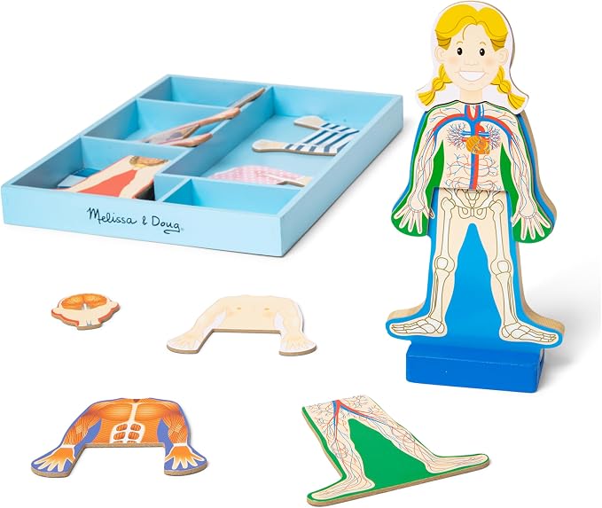 Melissa & Doug Magnetic Human Body Anatomy Play Set with 24 Magnetic Pieces and Storage Tray by Unknown