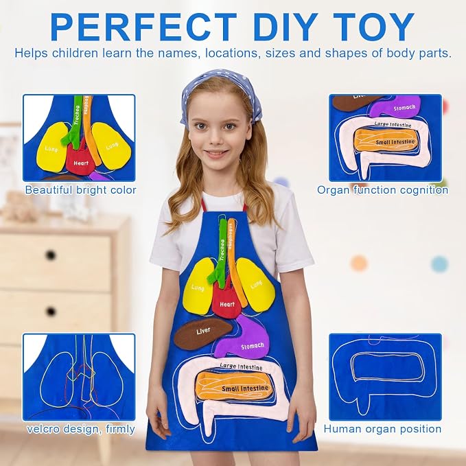 3D Organs Apron, Anatomy for Kids Apron Body Parts Organs Educational Toys, Soft Disassembled Internal Organs Plush Model for Home Preschool Teaching Aid Boy Gir - Image 7